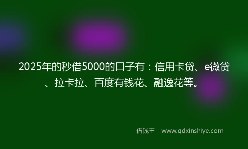2025年的秒借5000的口子有：信用卡贷、e微贷、拉卡拉、百度有钱花、融逸花等。