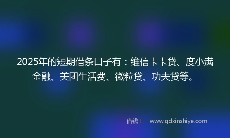 2025年的短期借条口子有：维信卡卡贷、度小满金融、美团生活费、微粒贷、功夫贷等。