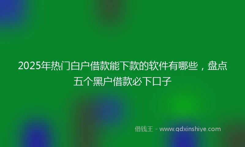 2025年热门白户借款能下款的软件有哪些，盘点五个黑户借款必下口子