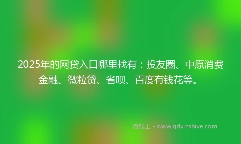 2025年的网贷入口哪里找有：投友圈、中原消费金融、微粒贷、省呗、百度有钱花等。