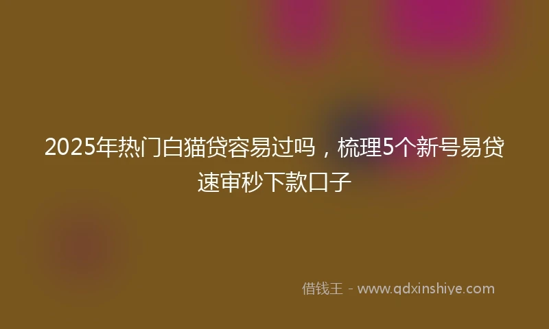 2025年热门白猫贷容易过吗，梳理5个新号易贷速审秒下款口子