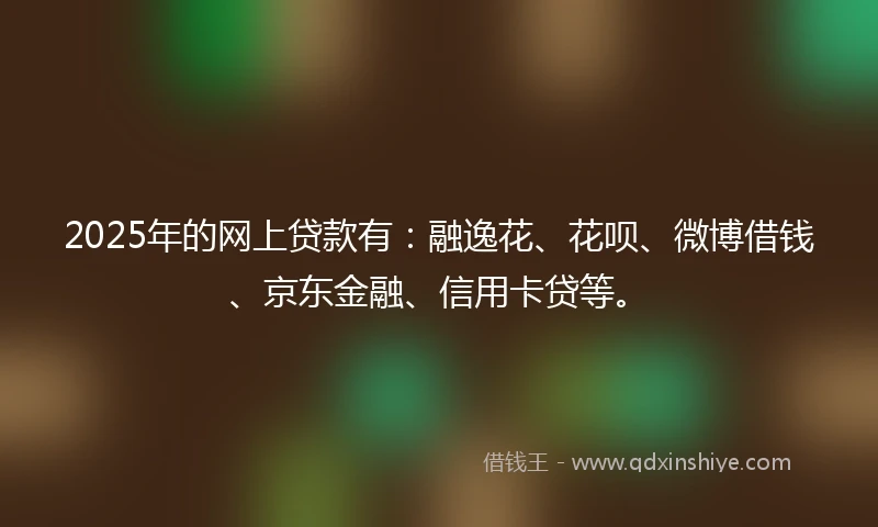 2025年的网上贷款有：融逸花、花呗、微博借钱、京东金融、信用卡贷等。