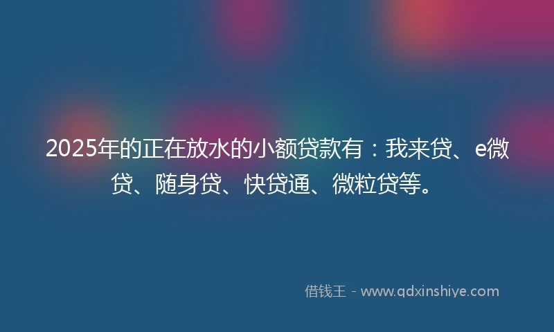 2025年的正在放水的小额贷款有：我来贷、e微贷、随身贷、快贷通、微粒贷等。