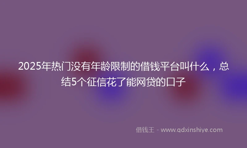2025年热门没有年龄限制的借钱平台叫什么，总结5个征信花了能网贷的口子