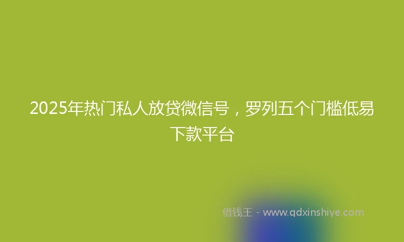 2025年热门私人放贷微信号，罗列五个门槛低易下款平台