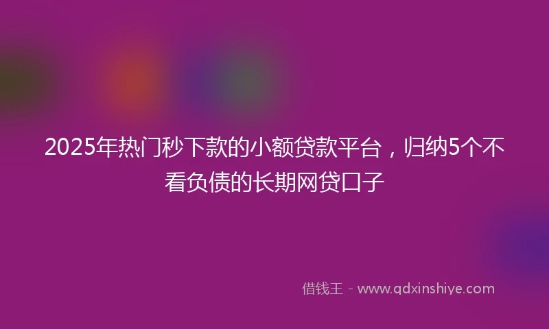 2025年热门秒下款的小额贷款平台，归纳5个不看负债的长期网贷口子
