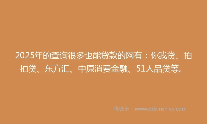 2025年的查询很多也能贷款的网有：你我贷、拍拍贷、东方汇、中原消费金融、51人品贷等。