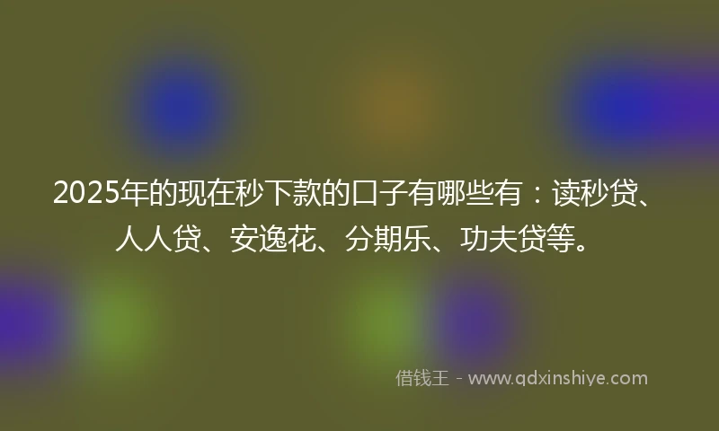 2025年的现在秒下款的口子有哪些有：读秒贷、人人贷、安逸花、分期乐、功夫贷等。