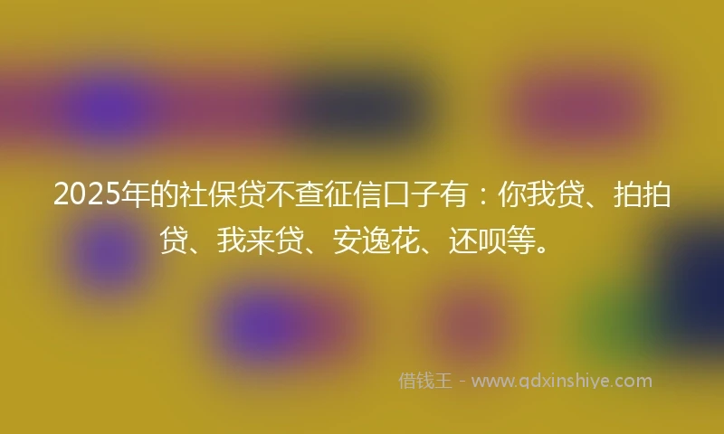 2025年的社保贷不查征信口子有：你我贷、拍拍贷、我来贷、安逸花、还呗等。