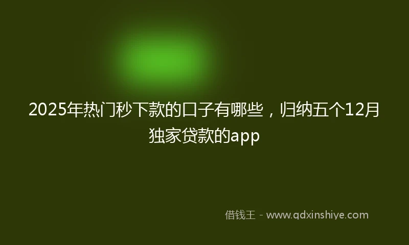 2025年热门秒下款的口子有哪些，归纳五个12月独家贷款的app