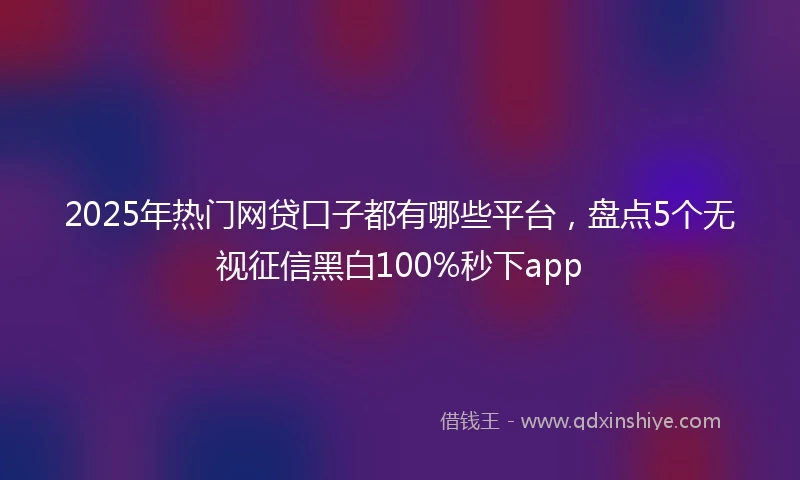 2025年热门网贷口子都有哪些平台，盘点5个无视征信黑白100%秒下app