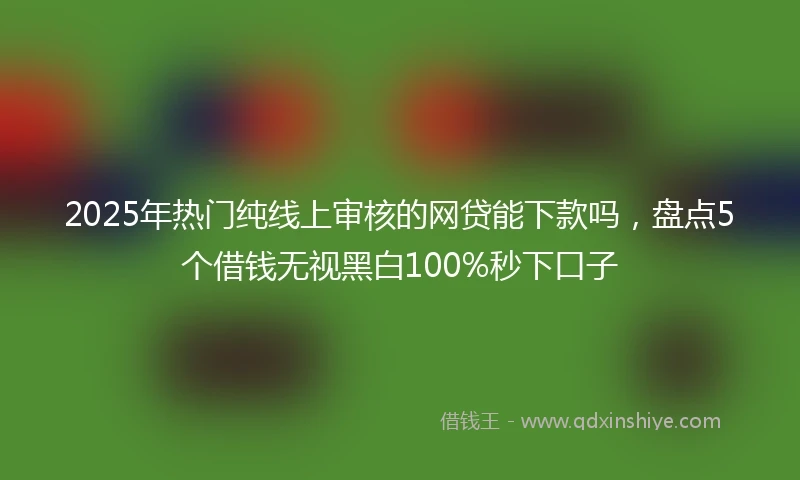 2025年热门纯线上审核的网贷能下款吗，盘点5个借钱无视黑白100%秒下口子