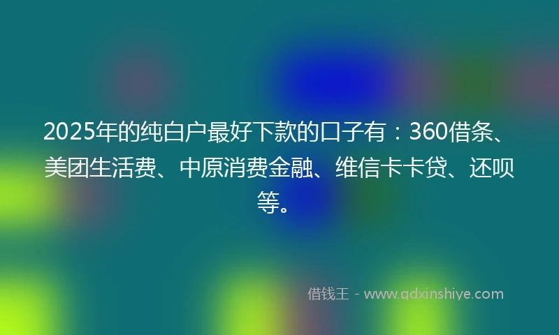 2025年的纯白户最好下款的口子有：360借条、美团生活费、中原消费金融、维信卡卡贷、还呗等。
