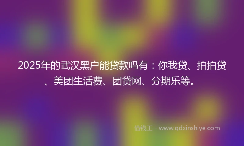 2025年的武汉黑户能贷款吗有：你我贷、拍拍贷、美团生活费、团贷网、分期乐等。