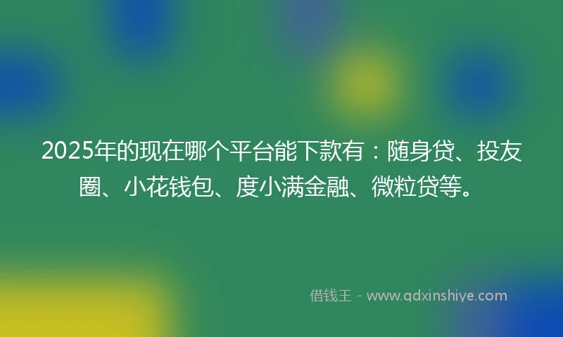 2025年的现在哪个平台能下款有：随身贷、投友圈、小花钱包、度小满金融、微粒贷等。