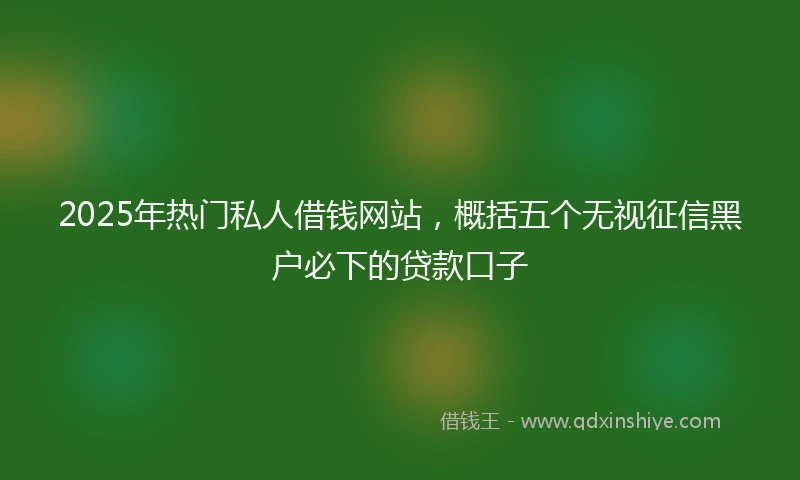 2025年热门私人借钱网站，概括五个无视征信黑户必下的贷款口子