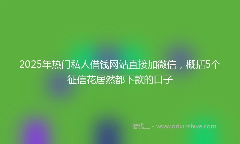 2025年热门私人借钱网站直接加微信，概括5个征信花居然都下款的口子