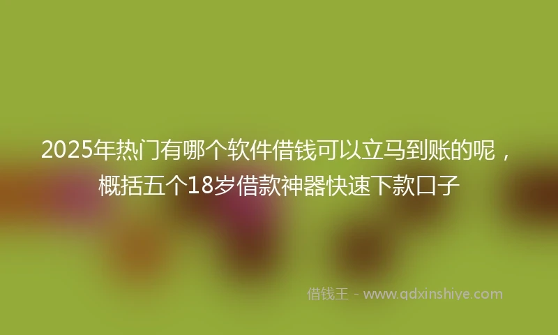 2025年热门有哪个软件借钱可以立马到账的呢，概括五个18岁借款神器快速下款口子