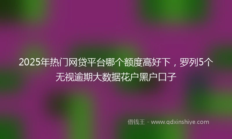 2025年热门网贷平台哪个额度高好下，罗列5个无视逾期大数据花户黑户口子