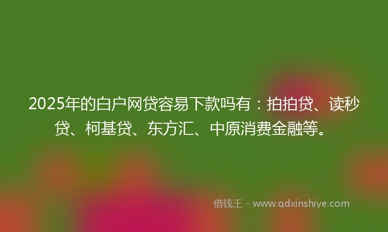2025年的白户网贷容易下款吗有：拍拍贷、读秒贷、柯基贷、东方汇、中原消费金融等。
