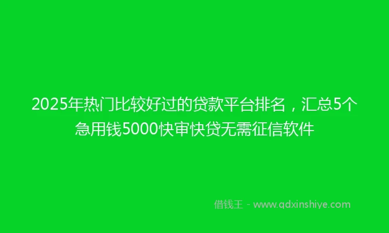 2025年热门比较好过的贷款平台排名，汇总5个急用钱5000快审快贷无需征信软件
