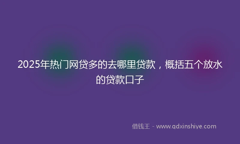 2025年热门网贷多的去哪里贷款，概括五个放水的贷款口子