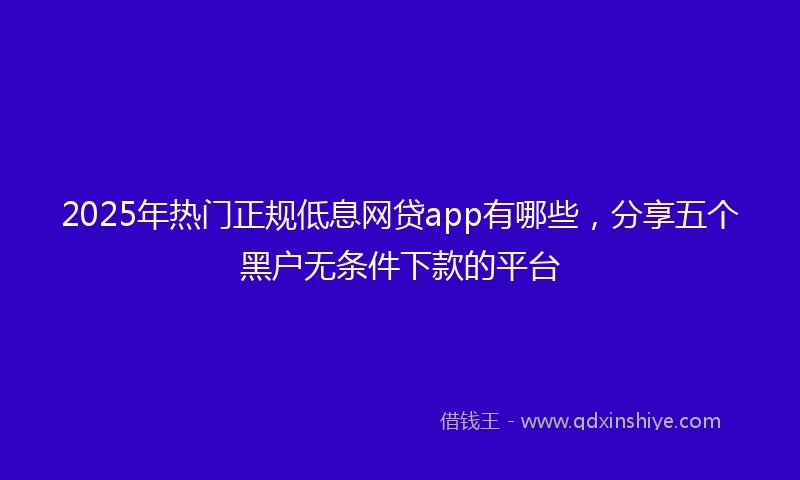 2025年热门正规低息网贷app有哪些，分享五个黑户无条件下款的平台
