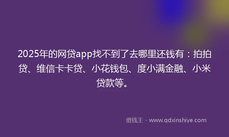 2025年的网贷app找不到了去哪里还钱有：拍拍贷、维信卡卡贷、小花钱包、度小满金融、小米贷款等。