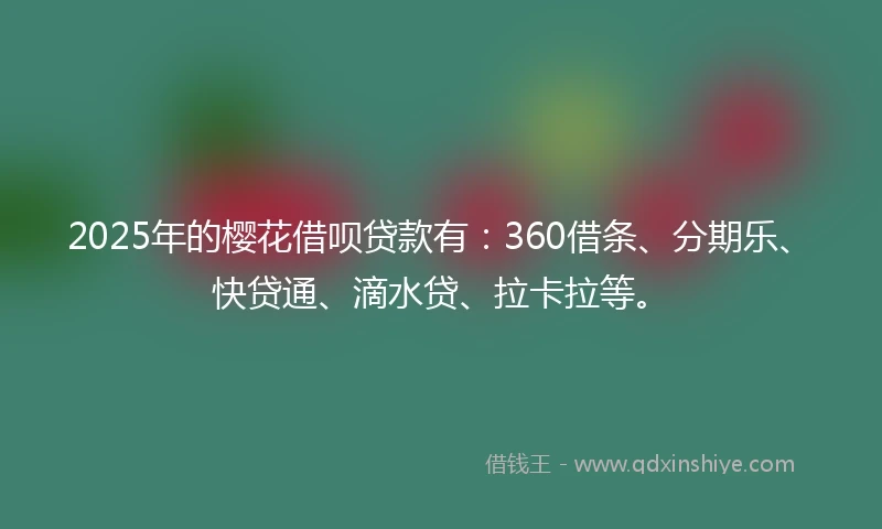 2025年的樱花借呗贷款有：360借条、分期乐、快贷通、滴水贷、拉卡拉等。