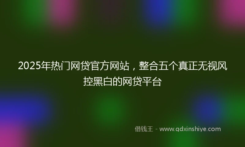 2025年热门网贷官方网站，整合五个真正无视风控黑白的网贷平台