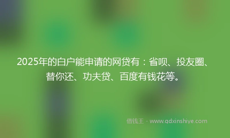 2025年的白户能申请的网贷有：省呗、投友圈、替你还、功夫贷、百度有钱花等。