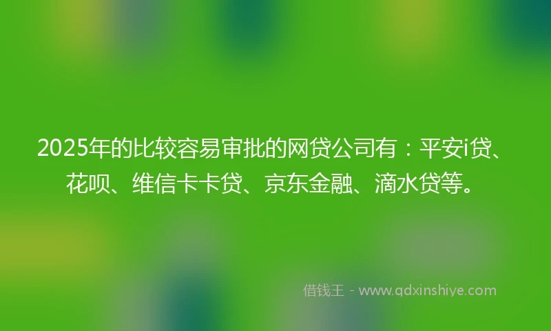 2025年的比较容易审批的网贷公司有：平安i贷、花呗、维信卡卡贷、京东金融、滴水贷等。