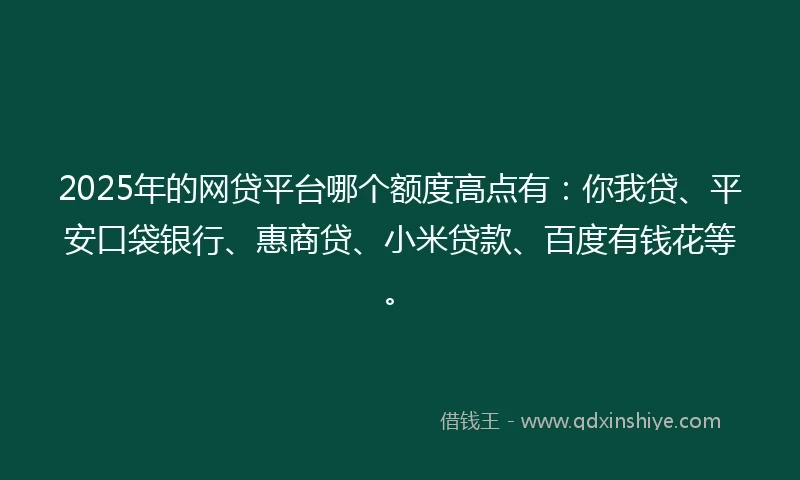 2025年的网贷平台哪个额度高点有：你我贷、平安口袋银行、惠商贷、小米贷款、百度有钱花等。