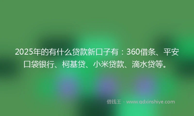 2025年的有什么贷款新口子有：360借条、平安口袋银行、柯基贷、小米贷款、滴水贷等。
