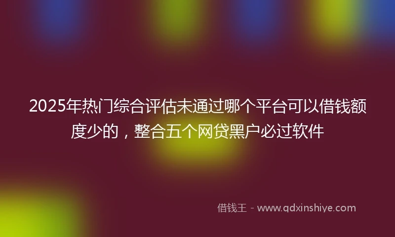 2025年热门综合评估未通过哪个平台可以借钱额度少的，整合五个网贷黑户必过软件
