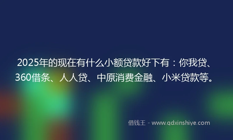 2025年的现在有什么小额贷款好下有：你我贷、360借条、人人贷、中原消费金融、小米贷款等。
