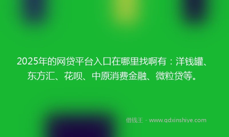 2025年的网贷平台入口在哪里找啊有：洋钱罐、东方汇、花呗、中原消费金融、微粒贷等。