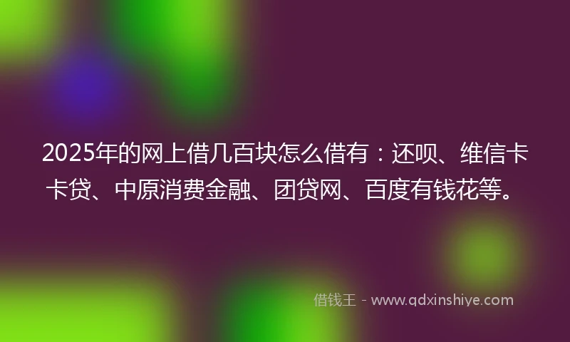 2025年的网上借几百块怎么借有：还呗、维信卡卡贷、中原消费金融、团贷网、百度有钱花等。