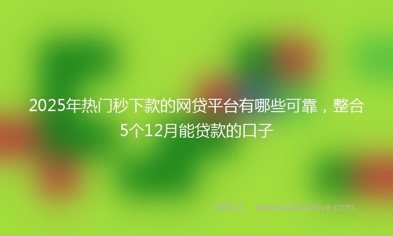 2025年热门秒下款的网贷平台有哪些可靠，整合5个12月能贷款的口子