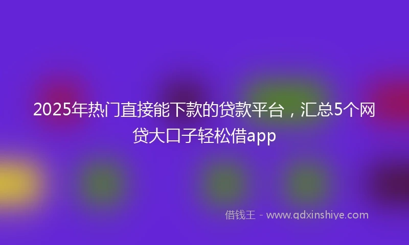 2025年热门直接能下款的贷款平台，汇总5个网贷大口子轻松借app