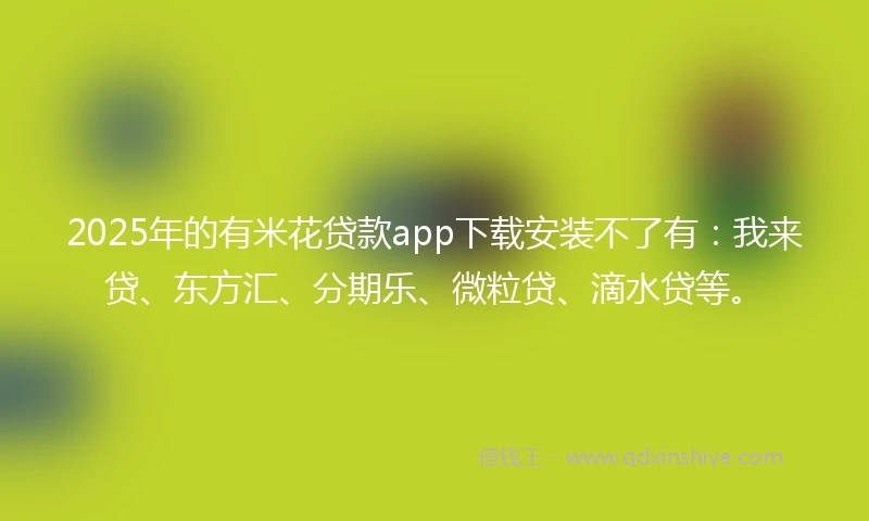 2025年的有米花贷款app下载安装不了有：我来贷、东方汇、分期乐、微粒贷、滴水贷等。