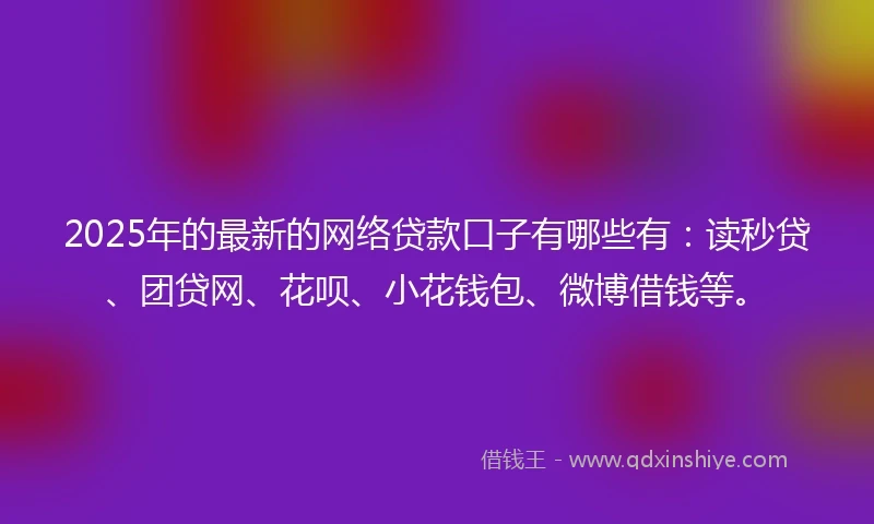 2025年的最新的网络贷款口子有哪些有：读秒贷、团贷网、花呗、小花钱包、微博借钱等。