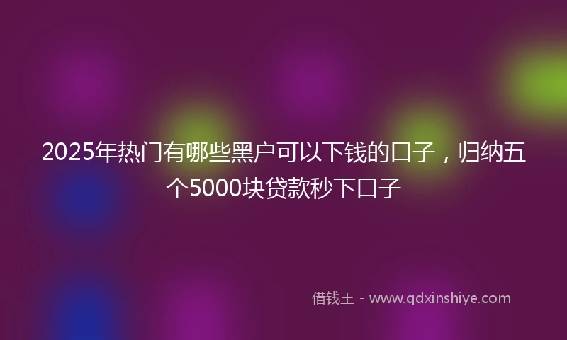 2025年热门有哪些黑户可以下钱的口子，归纳五个5000块贷款秒下口子