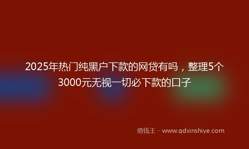 2025年热门纯黑户下款的网贷有吗，整理5个3000元无视一切必下款的口子