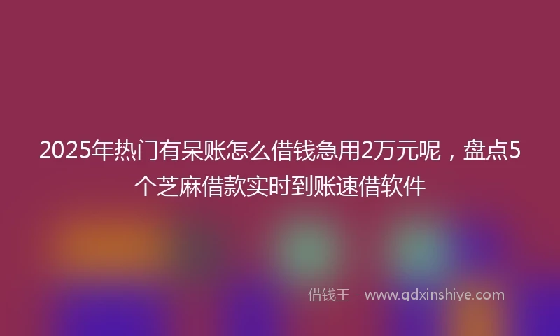 2025年热门有呆账怎么借钱急用2万元呢，盘点5个芝麻借款实时到账速借软件