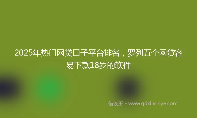 2025年热门网贷口子平台排名，罗列五个网贷容易下款18岁的软件