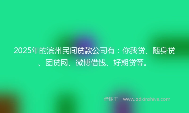 2025年的滨州民间贷款公司有：你我贷、随身贷、团贷网、微博借钱、好期贷等。