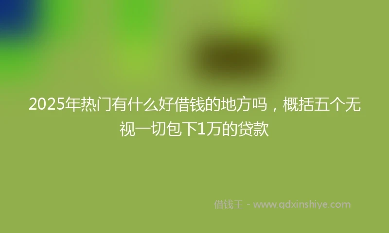 2025年热门有什么好借钱的地方吗，概括五个无视一切包下1万的贷款
