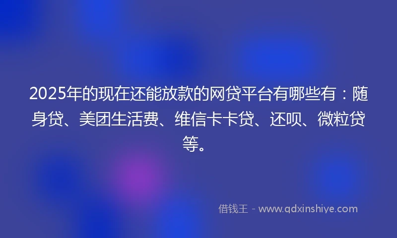 2025年的现在还能放款的网贷平台有哪些有：随身贷、美团生活费、维信卡卡贷、还呗、微粒贷等。