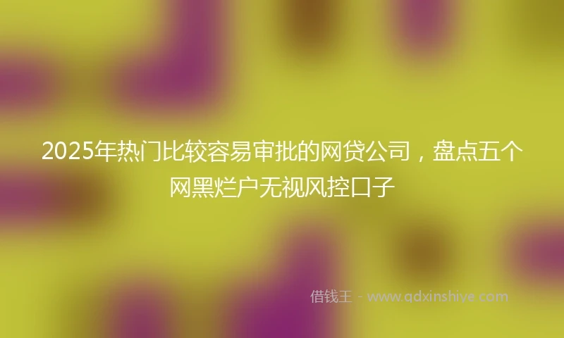 2025年热门比较容易审批的网贷公司，盘点五个网黑烂户无视风控口子